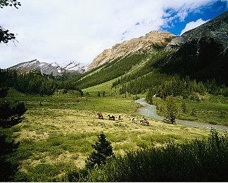 《燕云十六声》全新截图公布 游戏玩法详细介绍